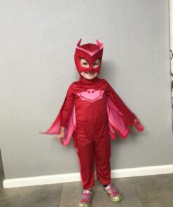 PJ Masks Owlette Classic Costume for Toddler Small (2T) Multi-colored 28 71RhqaBqMbL