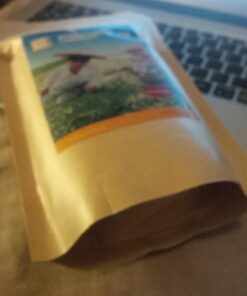 Gynostemma Tea (Jiaogulan Tea) 100 2g Green Tea Bags 100 Count (Pack of 1) 27 71RhvR3c4mL