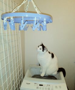 Whitmor Clip and Drip Hanger with 16 Clips 32 71RiXUW9ucL