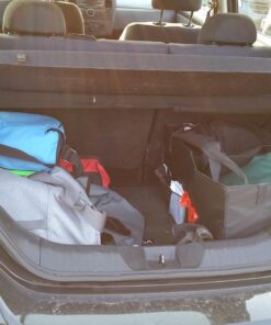 lebogner Car License Plates Shields and Frames (Trunk Organizer) 19 71RkakLzFzL