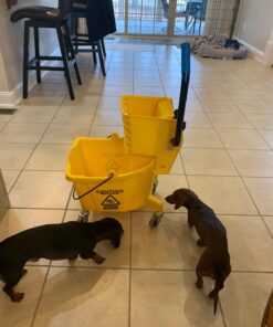 Carlisle FoodService Products Mop Bucket with Side-Press Wringer for Floor Cleaning, Restaurants, Offices, And Janitorial Use, Polyproylene, 26 Quarts, Yellow 41 71Rkk1sjPsL