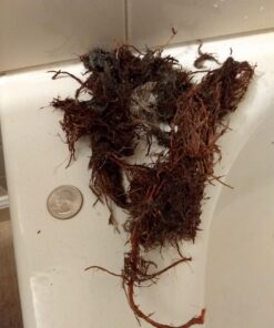 General Pipe Cleaners R-25SM Spin Thru Drain Auger with 1/4-Inch by 25-Feet Cable (P-25SM) 38 71RldJxtFL