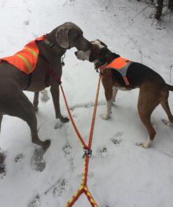 52'' No-Tangle Dual Dog Leash with Swivel, Comfortably Walks Two Dogs Weighing Up To 500 Pounds At Once 6 71RpIoP4YUL