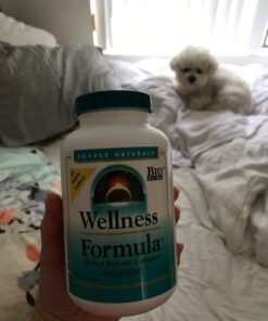 Source Naturals Wellness Formula Bio-Aligned Vitamins & Herbal Defense For Immune System Support - Dietary Supplement & Immunity Booster - 240 Capsules 37 71Rpe6nn6lL