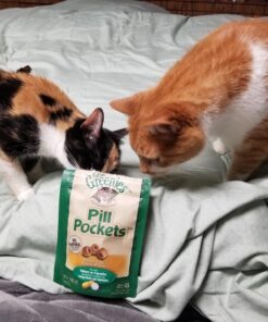 FELINE GREENIES PILL POCKETS for Cats Natural Soft Cat Treats, Chicken Flavor, 1.6 oz. Pack (45 Treats) 1.6 Ounce (Pack of 1) 40 71Rq8WFMVOL