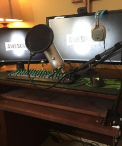 Neewer Microphone Arm Stand, Suspension Boom Scissor Mic Arm Stand with 3/8” to 5/8” Screw and Cable Ties Compatible with Blue Yeti, Snowball, Yeti X, Quadcast and Other Mics, Max Load 1.5kg 66 71RsXljfOTL