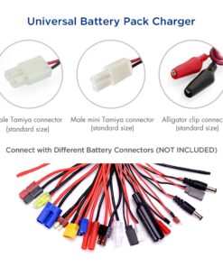 Tenergy Universal RC Battery Charger for NiMH/NiCd 6V-12V Battery Packs, 2A Charger for RC Car, Airsoft Batteries, Compatible with Standard Size Tamiya/Mini Tamiya/Alligator Clips Connectors 01025 12 71RwqsMK6DL