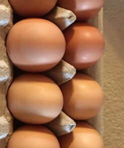 Manna Pro Crushed Oyster Shell Calcium Supplement For Laying Chickens - Poultry Treat - 5 lbs. 5 Pound (Pack of 1) 43 71RxU02aA5L