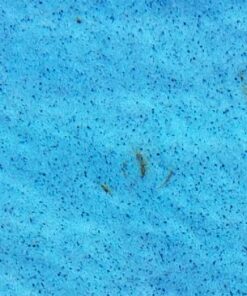 Purity Pool OS Out Spot Stain Remover 28 71S nWzaxAL