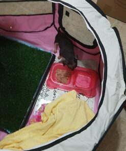 PET4FUN PN935 29" Portable Pet Puppy Dog Cat Animal Playpen Yard Crates Kennel w/Premium 600D Oxford Cloth, Tool-Free Setup, Carry Bag, Removable Security Mesh Cover/Shade, 2 Storage Pockets(Pink) Upgrade Version: 29" x 29" x 17" Medium Pink 55 71S0z2mcmL