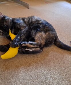 Yeowww! Yellow Banana Catnip Toy (2 Pack) 22 71S24cGAYgL