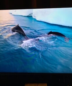 TCL 55S517 55-Inch 4K Ultra HD Roku Smart LED TV (2018 Model) 55 in TV only 27 71S2yuW1NML