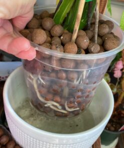 General Hydroponics RapidStart, Plant Food, 1-0.5-1, 125 mL. 45 71S3bxn0AWL