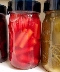Nourished Essentials Fermentation Kit - 3 Pack Airlock Fermentation Lids for Wide Mouth Mason Jars with Vacuum Sealer - Air Lock for Fermenting Kimchi, Sauerkraut, Pickle and Kombucha 39 71S3sQT8uuL
