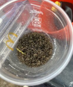 Mosquito Magnet MM3300B Executive Mosquito Trap and Killer - Protect Up to 1 Acre - Attract, Trap and Kill Mosquitoes and Other Flying Insects 29 71S5iOm6nYL