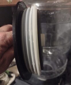 Big Mouth Bubbler® EVO - 5 Gallon Wide Mouth Glass Carboy Fermentor 21 71S6lsjfiDL