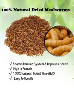 Amzey Appetizing Mealworms 5 LBS- 100% Non-GMO Dried Mealworms - Large Meal Worms - High Protein Treats- Perfect Mealworm for Chickens, Ducks, Turtles, Blue Birds, Lizards - Bag of Mealworms 5 LBS Seafood 11 71S7hXBOHhS