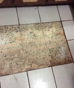 Rockwell 4-1/2” Compact Circular Saw, 5 amps, 3500 rpm, with Dust Port and Starter Kit– RK3441K , Black 49 71S80DNFByL