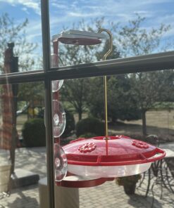 Aspects 367 Hummzinger Ultra Hummingbird Feeder, 12-Ounce,4 Feeding,Red 26 71S8C8eqCOL