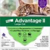 Advantage 2 flea control for cats and kittens over 9 lbs 4 month supply 42 71S9XfyPL