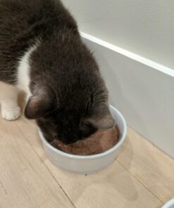 Instinct Grain Free Wet Cat Food Pate, Original Natural Canned Cat Food, Rabbit, 3 oz (Case of 24) 3 Ounce (Pack of 24) 29 71S9YzHVFDL