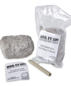 Dig It Up! Fossils & Minerals 13 71SAdiuckTL