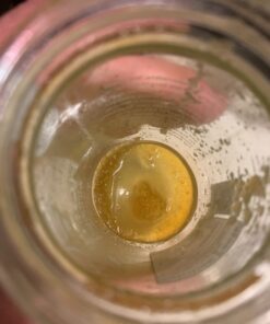 BEE HARMONY American Berry Honey, 12 OZ 21 71SBPKBNU L