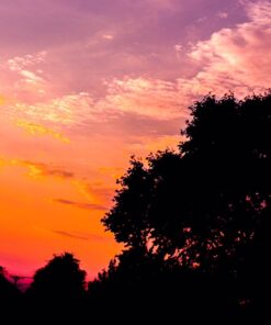 58MM Complete Lens Filter Accessory Kit (UV, CPL, ND4, ND2, ND4, ND8 and Macro Lens Set) for Canon EOS 70D 77D 80D 90D Rebel T8i T7 T7i T6i T6s T6 SL2 SL3 DSLR Cameras 58MM 58 71SD7IIgcoL