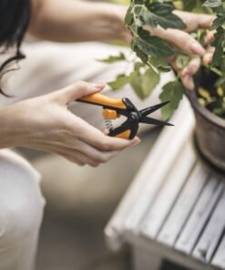 Fiskars Micro-Tip Pruning Snips - 6" Garden Shears with Sharp Precision-Ground Non-Stick Coated Stainless Steel Blade - Gardening Tool Scissors with SoftGrip Handle Pruning Snips (Non-Stick) 24 71SDCeBj7dL