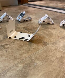 Trapper Insect Trap (Great for Bed Bugs, Spiders, Cockroaches) - Includes 90 Traps 21 71SDd7vPKBL