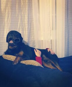 Amazon Basics Memory Foam Filled Bean Bag Chair with Microfiber Cover, 5 ft, Blue, Solid 23 71SEsCEw2dL