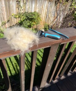 Pet Grooming Brush and Metal Comb Combo, Cat Brush Dog Brush for Shedding, Undercoat Rake for Dogs Grooming Supplies, Dematting Deshedding Brush Dogs Shedding Tool for Long matted Haired Pets, Blue 31 71SHM9PTWzL