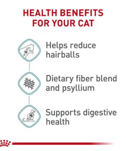 Royal Canin Feline Care Nutrition Hairball Care Dry Cat Food, 3 lb bag 3 Pound (Pack of 1) 23 71SHgTxeRL 1