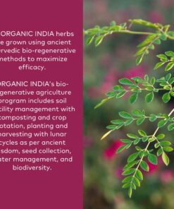 ORGANIC INDIA Triphala Herbal Supplement - Digestion & Colon Support, Immune System Support, Adaptogen, Nutrient Dense, Vegan, Gluten-Free, USDA Certified Organic, Non-GMO - 180 Capsules 180 Count (Pack of 1) 15 71SIskJ0xVL