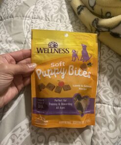 Wellness Soft Puppy Bites Natural Grain-Free Treats for Training, Dog Treats with Real Meat and DHA, No Artificial Flavors (Lamb & Salmon, 3-Ounce Bag) Soft Treats Lamb & Salmon 3 oz 38 71SMHoURFhL