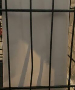 MidWest Homes for Pets Dog Crate Life Stages 36' Double Door Folding Metal Dog Crate | Divider Panel, Floor Protecting Feet, Leak-Proof Dog Pan | 35.63 in x 24.45 in x 21.93 in ,Intermediate Dog Breed 36.0"L x 23.0"W x 25.0"H Lifestages; Double Door 47 71SNBdFimKL