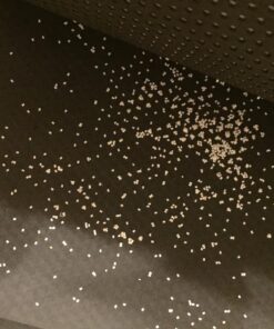 iPrimio Large Cat Litter Trapper Mat with Exclusive Urine/Waterproof Layer - Cat Litter Mat - Larger Holes with Urine Puppy Pad Option for Messy Cats - Soft on Paws and Light - 30" x 23" (Black Color) 30x23 - Black 50 71SNkwc2x8L