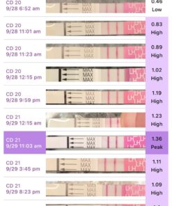 Pregmate 100 Ovulation and 20 Pregnancy Test Strips Predictor Kit 120 Piece Set 45 71SQexNNlL