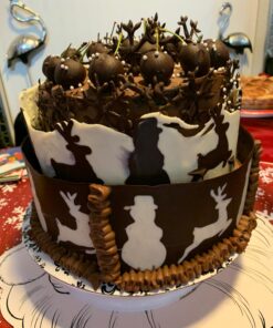 Picowe Cake Collars 4 x 394inch, Acetate Rolls, Clear Cake Strips, Transparent Cake Rolls, Mousse Cake Acetate Sheets for Chocolate Mousse Baking, Cake Decorating 36 71STZCpWtKL