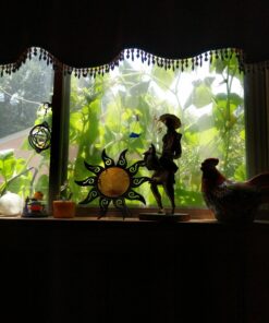 Root Ruckus Compost Fertilizer Organic - Turbo Charged Compost for Plants (32 oz) - Humic Acid & Sea Kelp Nutritional Root Supplement for Lawns, Soil, Shrubs & Vegetables 1 Quart 24 71SU8ahY33L