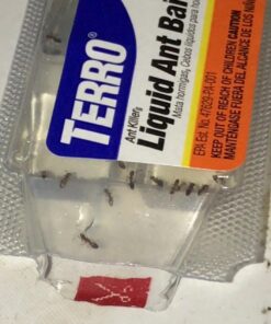 Terro Liquid Ant Killer Baits(6 Bait Stations Net Contents 2.2fl.oz/0.36fl.oz) 31 71SUWW vOBL