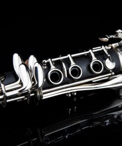 Glory GLY-PBK Professional Ebonite Bb Clarinet with 10 Reeds, Stand, Hard Case, Cleaning Cloth, Cork Grease, Mouthpiece Brush and Pad Brush, Black Black/Silver 22 71SVxG k96L