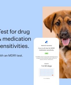 Wisdom Panel Breed Discovery Dog DNA Kit: Most Accurate Dog Breed Identification, Test for 365+ Breeds, MDR1 Health Test, Ancestry, Relatives 25 71SVzi50gNL