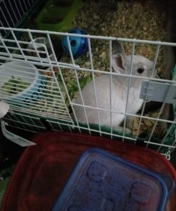 MidWest Homes for Pets Canvas Bottom (Replacement Part) for Guinea Pig Habitat Model 171GH & Guinea Pig Habitat 'Plus' Model 171GHP 47.3"L x 23.8"W x 4.3"H 29 71SWN8uJYGL