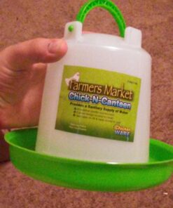 Ware Manufacturing Chick-N-Canteen Bird Feeder 6 71SYHRlyhnL