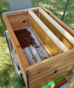 Mann Lake Bee-Pro Patties with Pro Health, Ready-to-Feed High Protein Pollen Substitute, Beekeeping Supplies, 10 lb 10 Pound (Pack of 1) 37 71SYLFDVD0L