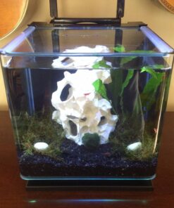 MarineLand Contour Glass Aquarium Kit with Rail Light 3-gallon 55 71ScoPi5cyL