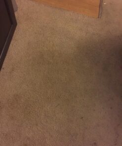 Folex Instant Carpet Spot Remover, 128oz Odor Free 128 Fl Oz (Pack of 1) 45 71SeAndLh5L