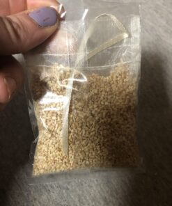 Victor M805 Scent-Away Natural Rodent Repeller – Peppermint Oil Mouse and Rat Repellent – 5 High-Strength Rodent Repelling Sachets Included 1 Pack - 5 Sachets 29 71Sf buXLcL