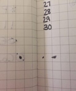 Moleskine Classic Notebook, Hard Cover, Large (5" x 8.25") Squared/Grid, Black, 240 Pages 37 71SkFnlLpxL